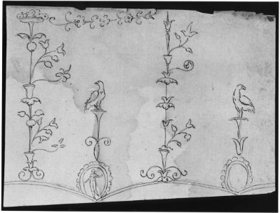 Domus Aurea, unidentified, grotteschi, details (recto) blank (verso) MET sf68 769 56r-MM43704
