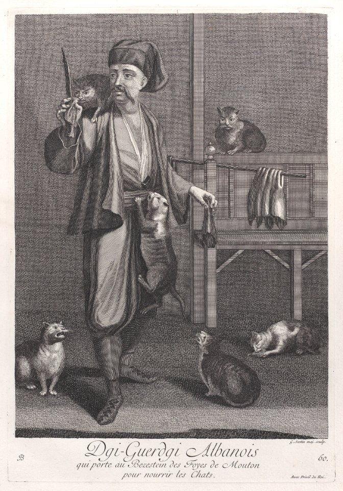 Dgi-Guerdgi Albanois, qui porte au Bezestein des Foyes de Mouton pour nourrir les Chats Met DP887264