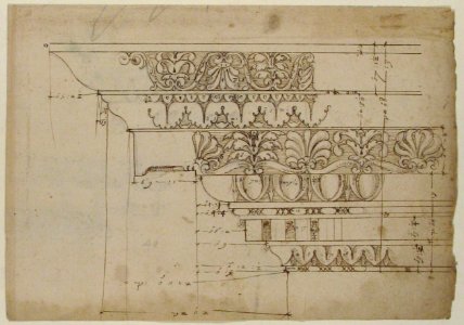 Domus Augustiana, cornice, elevation in profile, ornamental detailing (recto) Unidentified, cornice, elevation in profile, ornamental detailing (verso) MET 68.769.16recto