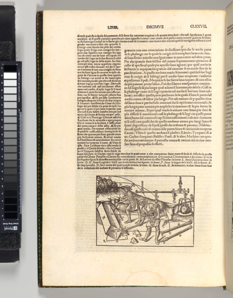 Di Lucio Vitruvio Pollione De architectura Libri Dece traducti de latino in vulgare affigurati- commentati- & con mirando ordine insigniti MET DP-13137-001