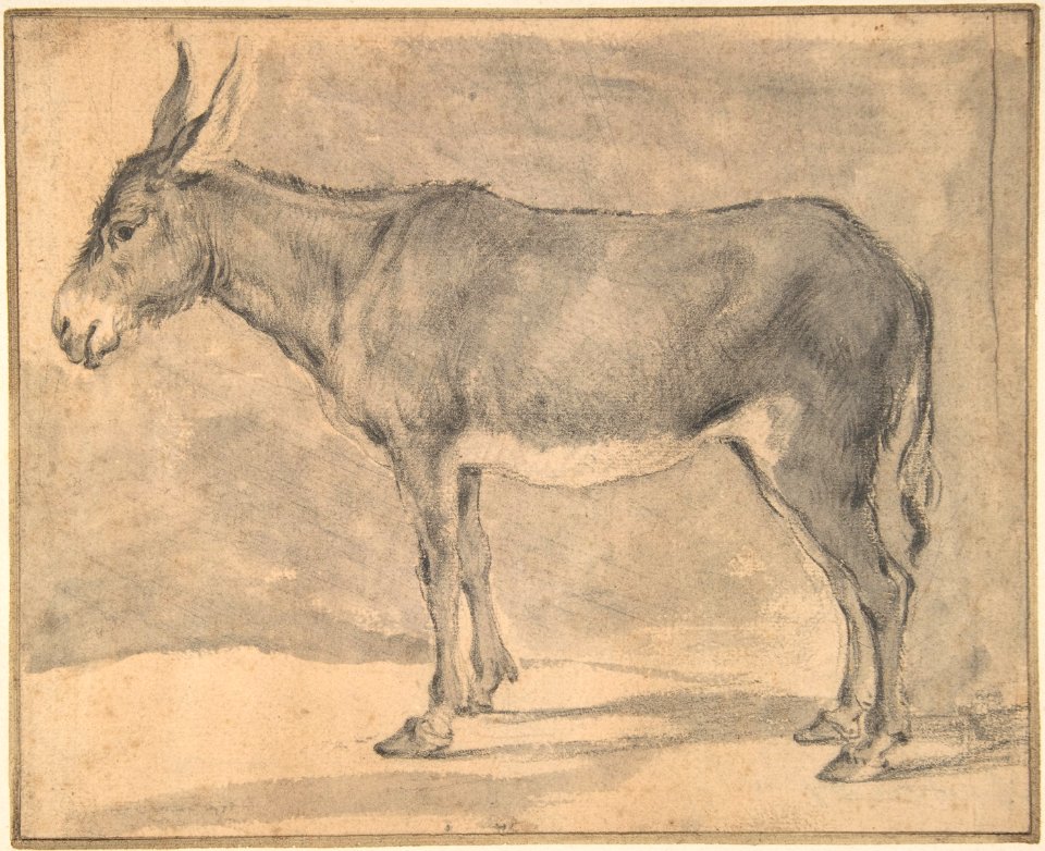 Donkey MET DP800454