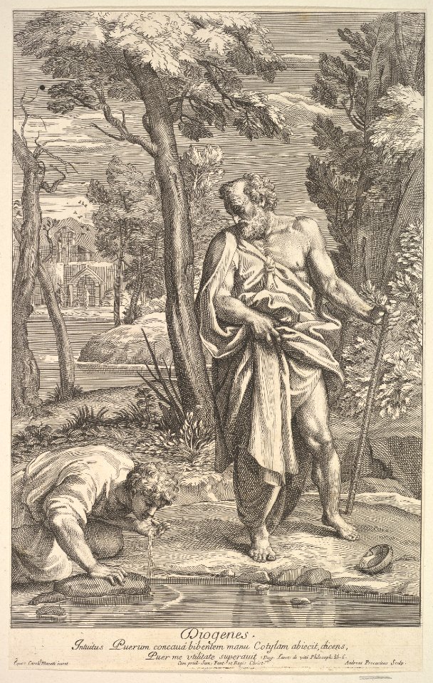 Diogenes MET DP822760