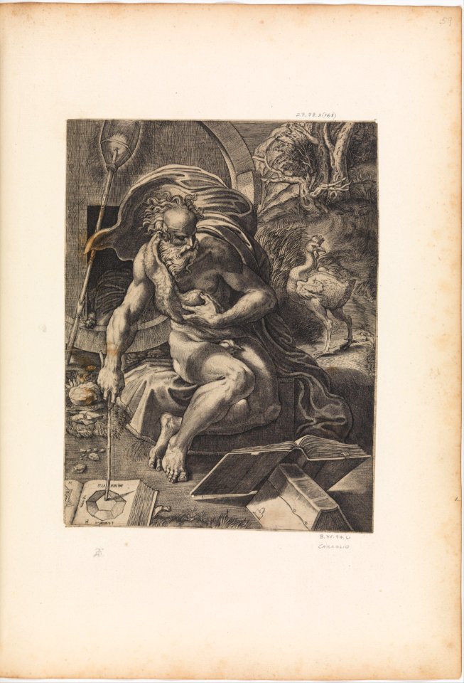 Diogenes MET DP269600
