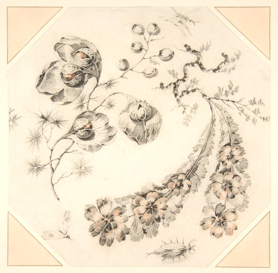 Design for Fantasy Branches of Flowers MET DP812029