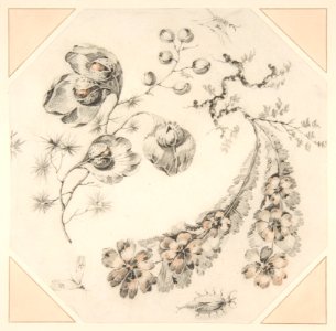 Design for Fantasy Branches of Flowers MET DP812029