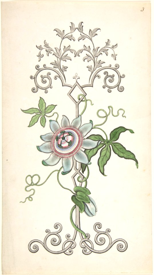 Design for Panel Decoration Centered on a Passion Flower MET DP804656