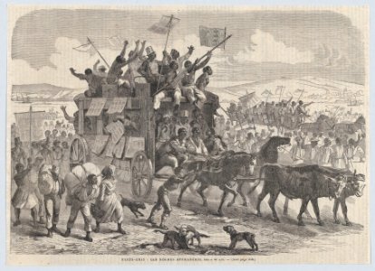 Emancipated Negroes, from "Le Journal Illustré" - MET DP879290