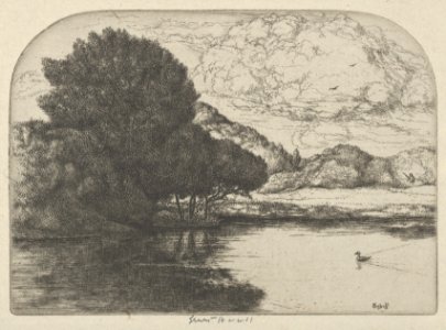 Doomed Duck MET DP845482