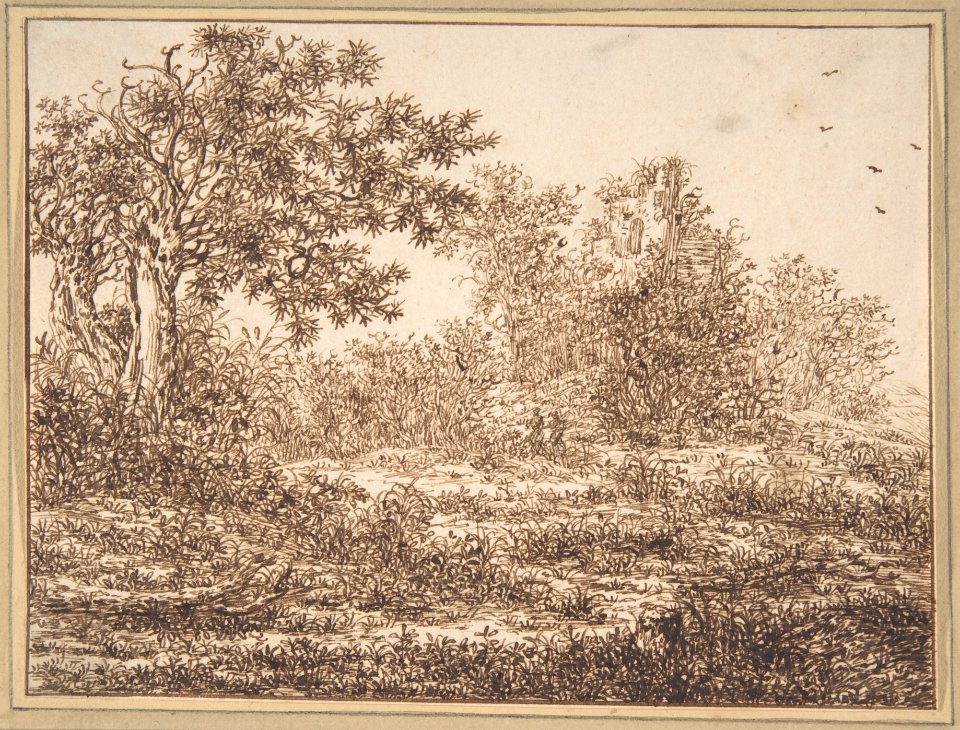 Dune Landscape with Trees MET DP800105
