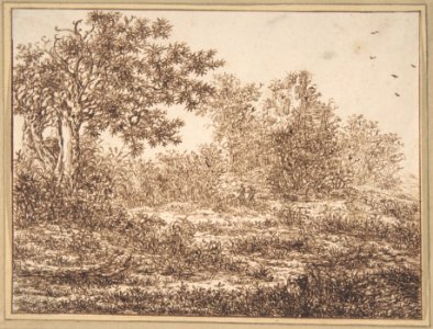 Dune Landscape with Trees MET DP800105