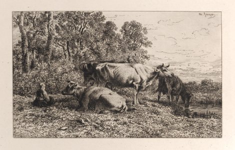 Dutch Cows Met DP887001