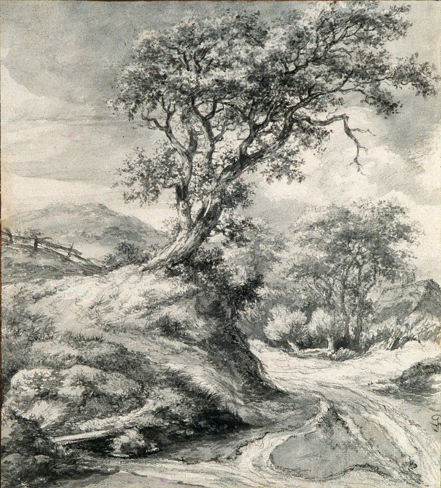 Dune Landscape with Oak Tree MET dp1995.196.R