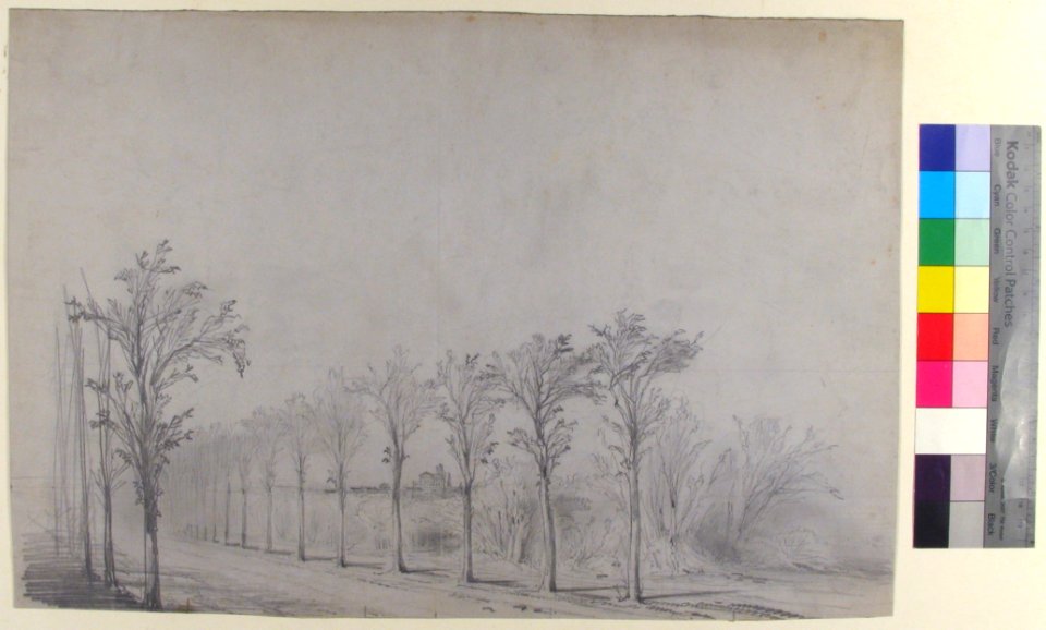 Design for a Stage Set at the Opéra, Paris- Tree-Lined Road MET 53.668.139