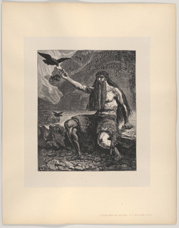 Elijah Fed By Ravens (Dalziels' Bible Gallery) MET DP835893