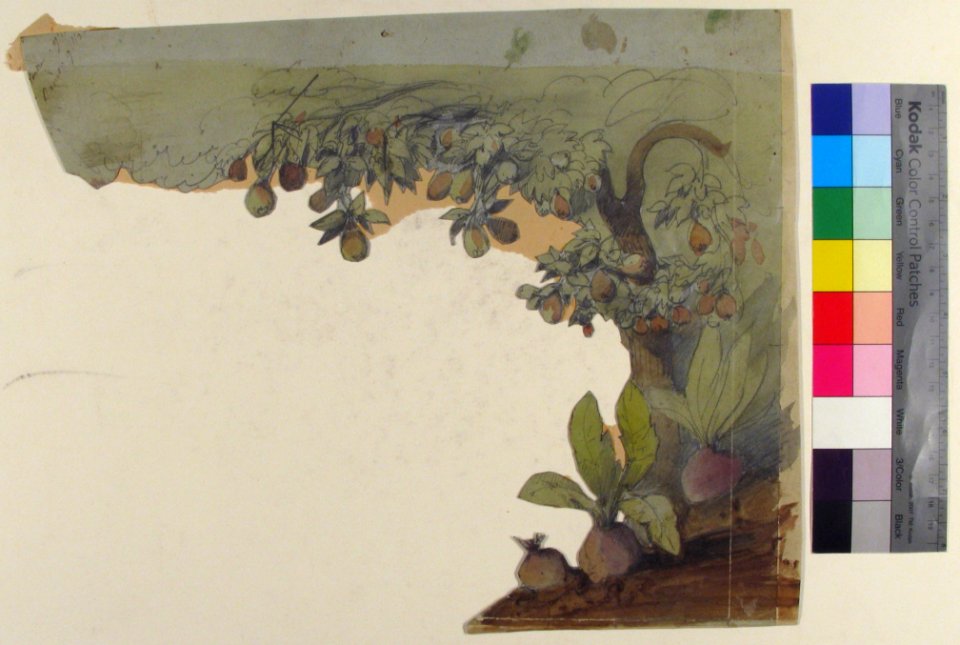 Design for a Stage Set at the Opéra, Paris MET 53.668.89