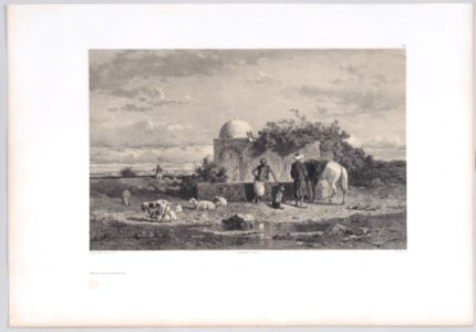 Fontaine aux environs de Tunis Met DP887858