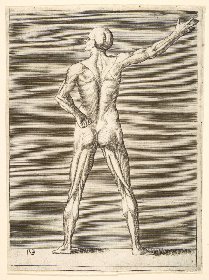 Flayed man seen from the back, his right arm extended MET DP812689