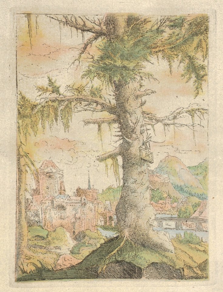 Facsimile Reproduction of The Small Spruce MET DP834176
