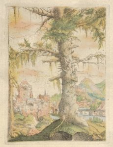 Facsimile Reproduction of The Small Spruce MET DP834176