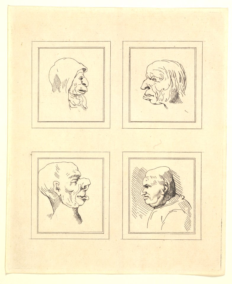 Four Heads (from Characaturas by Leonardo da Vinci, from Drawings by Wincelslaus Hollar, out of the Portland Museum) MET DP824101