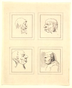 Four Heads (from Characaturas by Leonardo da Vinci, from Drawings by Wincelslaus Hollar, out of the Portland Museum) MET DP824101