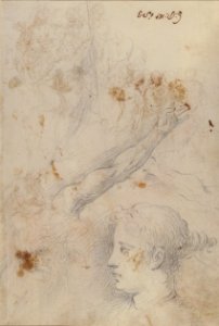 Figure Studies- The Arrest of Christ?, Christ and the Canaanite Woman, Seated Male Figures, and Head of a Child (recto); Studies of an Arm, and of the Heads of an Old Man and Young Woman (verso) MET 65.138 VERSO