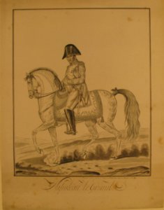 Equestrian Portrait of Napoleon MET 24.63.610
