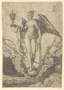 Fortune MET DP836738