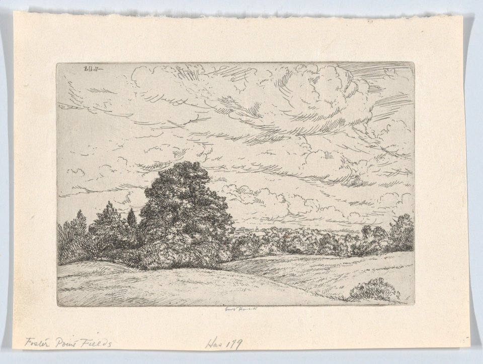 Foster Point Fields MET DP873090