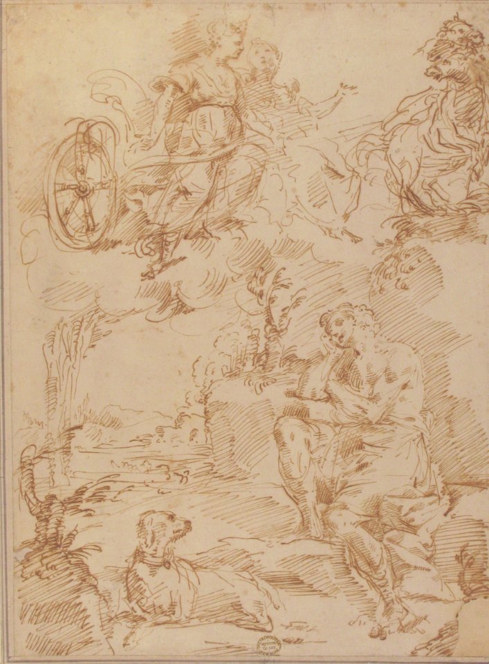Endymion MET 80.3.198