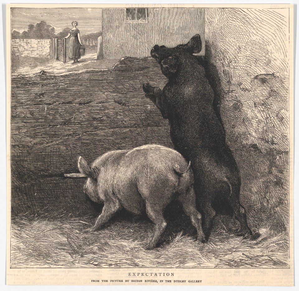 Expectation (from "The Graphic") MET DP861615