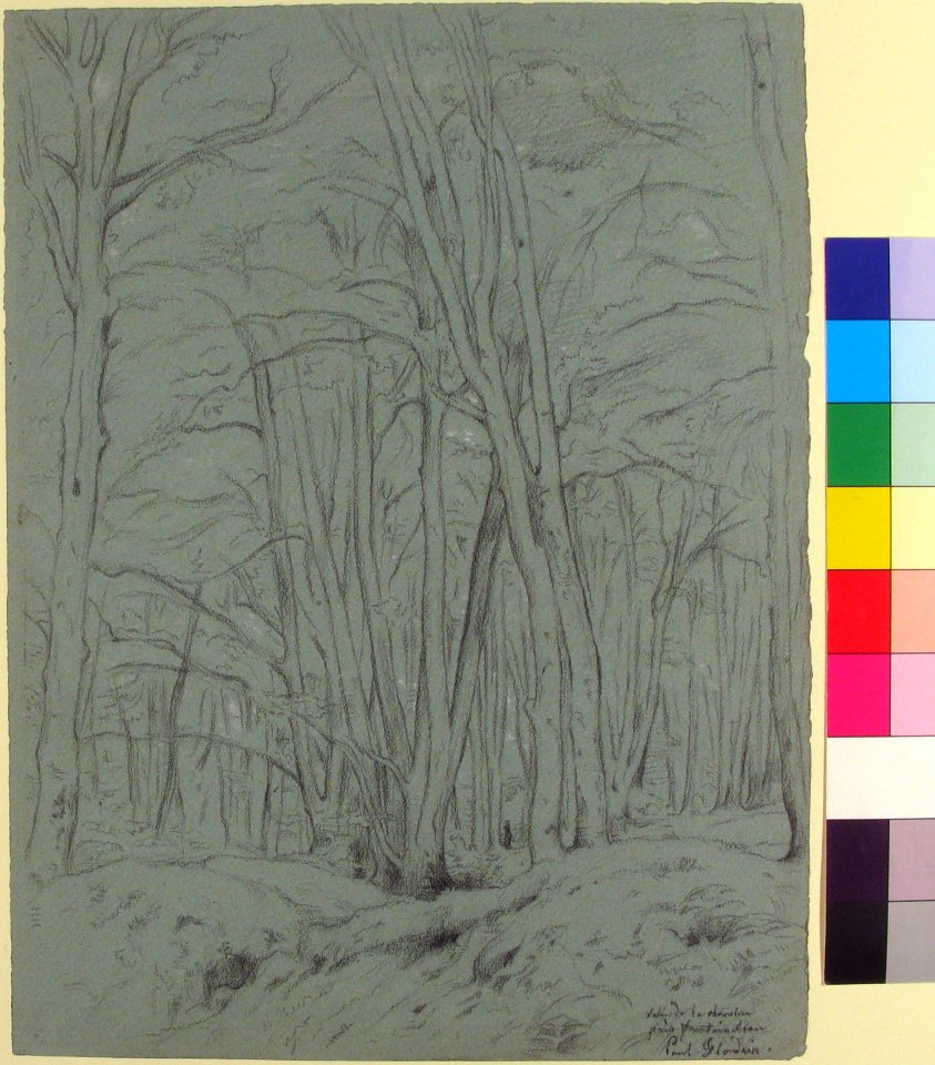 Forest View Near Fontainebleau MET 1991.268