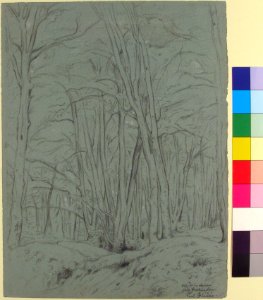 Forest View Near Fontainebleau MET 1991.268