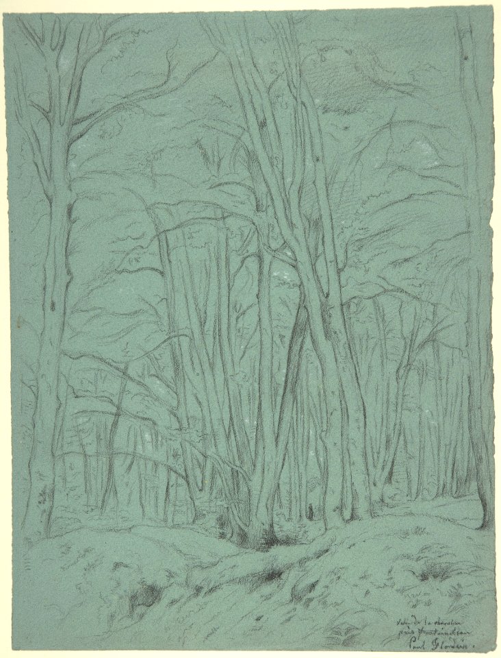 Forest View Near Fontainebleau MET DP806393