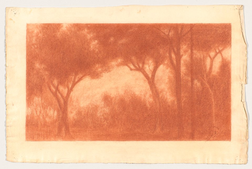 Forest Landscape with a Clearing MET DP856502