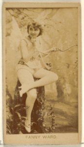 Fanny Ward, from the Actors and Actresses series (N45, Type 8) for Virginia Brights Cigarettes MET DP831651