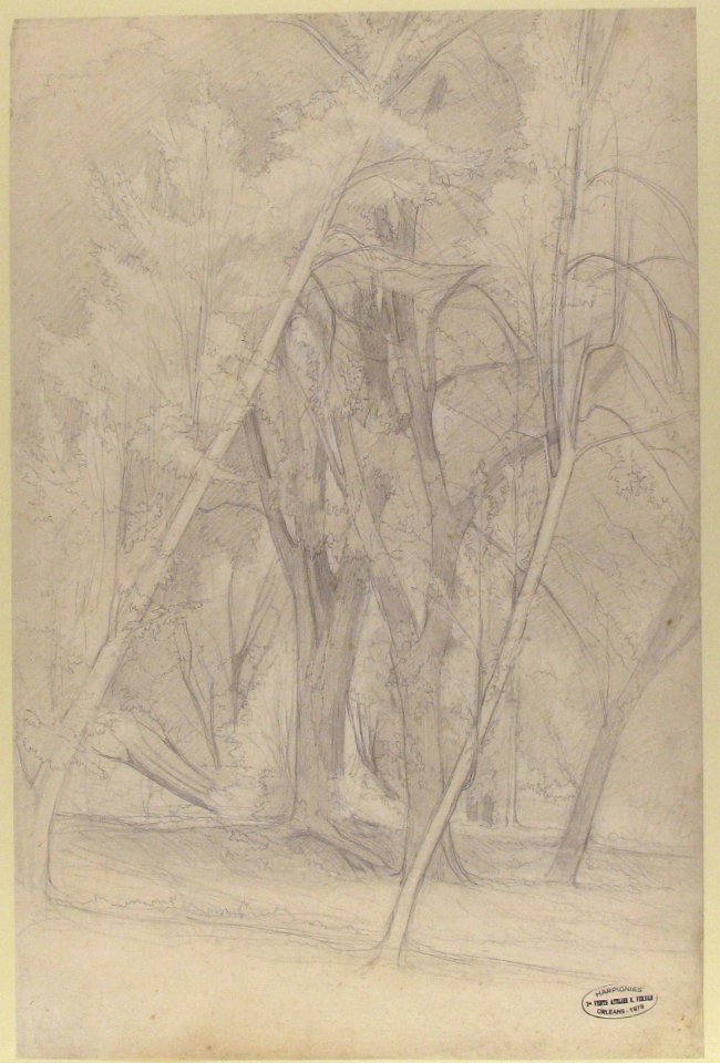 Forest Interior MET 1992.142
