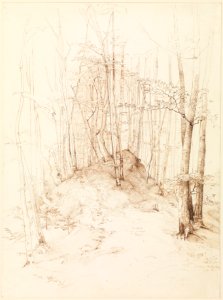 Forest view in the Menterschweige district near Munich MET DP169135