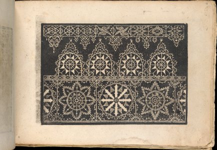 Fiori di Ricami Nuovamente Posti in Luce, page 11 (recto) MET DP362539
