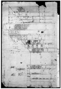Forum of Nerva, entablature, elevation; cornice, elevation (recto) Forum of Nerva, architrave panel, ceiling plan, Corinthian, capital (verso) MET sf68 769 10r-MM43626