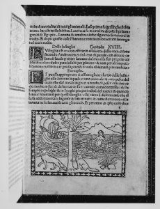Fior di virtu hystoriato MET MM4643