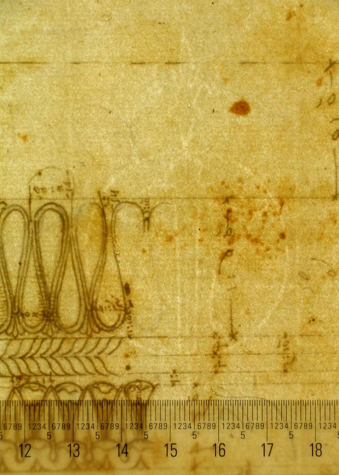 Forum of Augustus, hemicycle, Attic base, elevation and sculpted detail; Ionic capital, elevation; Palazzo Baldassini, cortile, elevation (recto) blank (verso) MET sf68 769 41-watermark