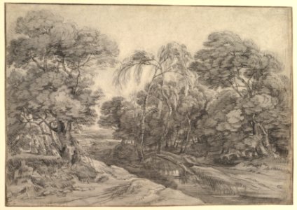 Forest Landscape MET DP821536
