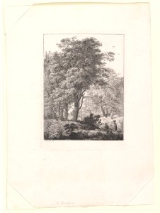 Forest Landscape MET DP821178