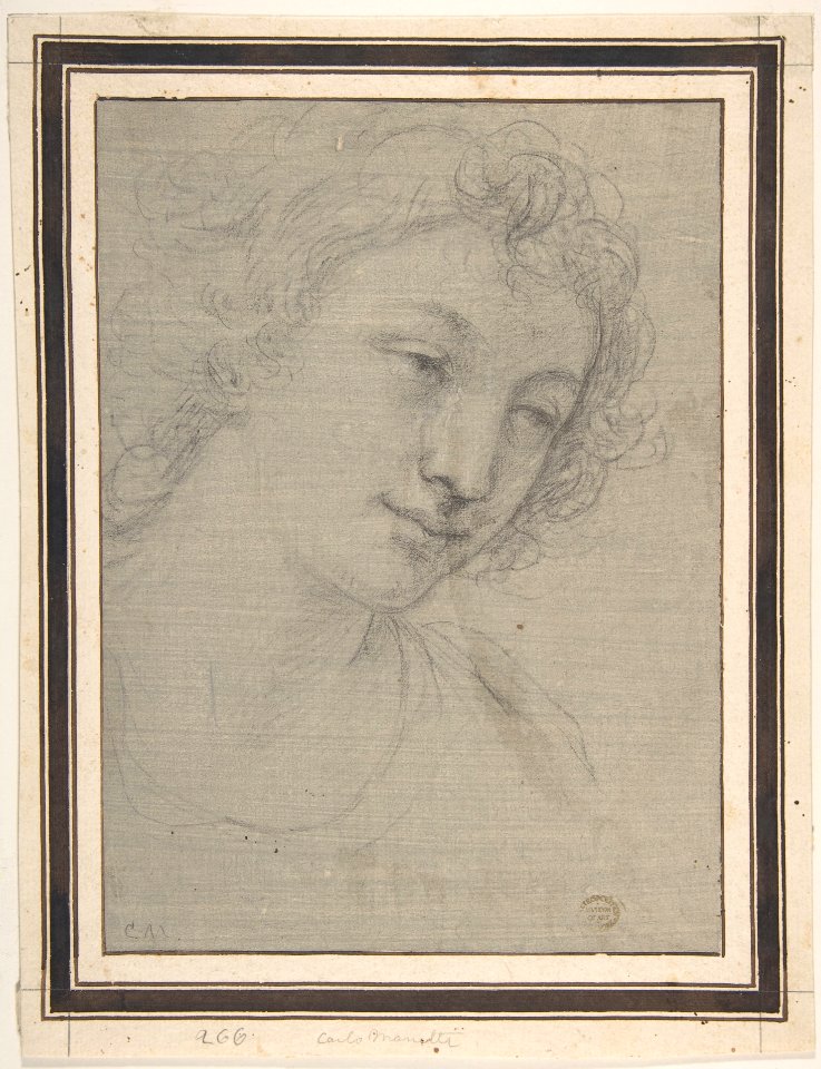 Figure of Young Man or Woman in Bust-length, in Three-Quarter View MET DP810404