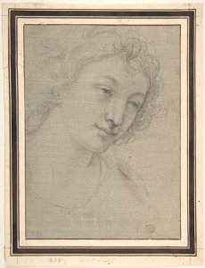 Figure of Young Man or Woman in Bust-length, in Three-Quarter View MET DP810404