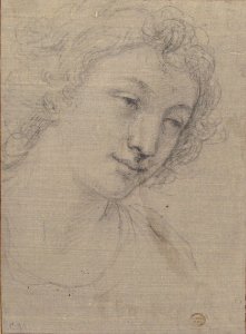 Figure of Young Man or Woman in Bust-length, in Three-Quarter View MET 87.12.96