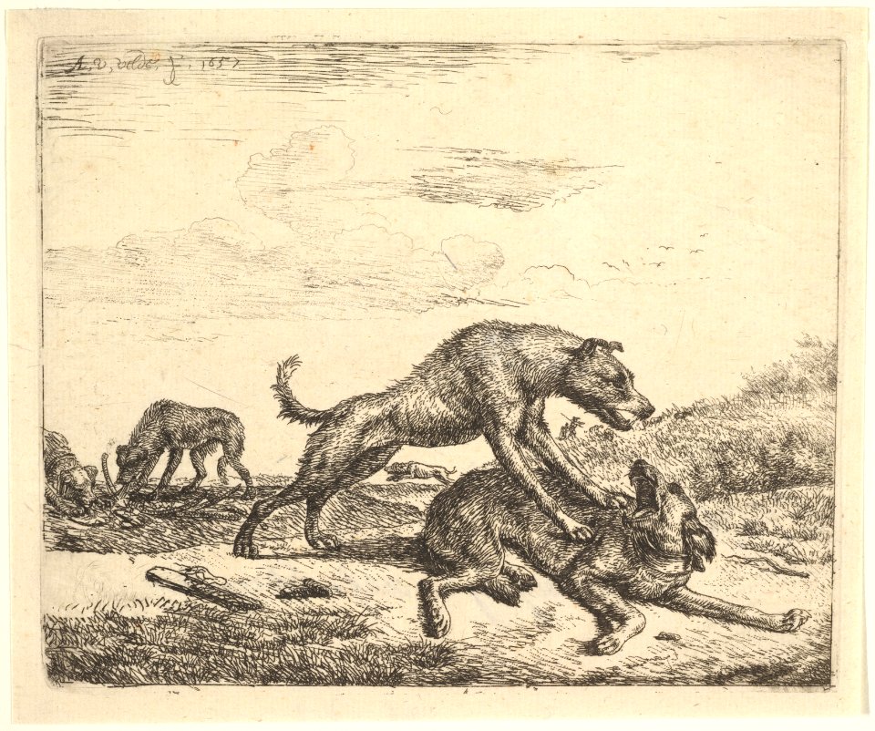 Fighting Dogs, from Different Animals MET DP828093