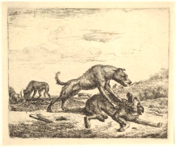 Fighting Dogs, from Different Animals MET DP828093