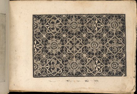 Fiori di Ricami Nuovamente Posti in Luce, page 6 (recto) MET DP362534